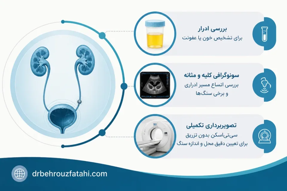 نمای توضیحی درباره سونوگرافی و تصویربرداری تکمیلی